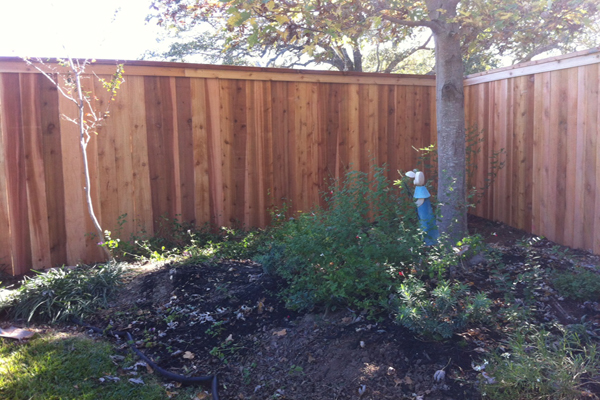 6 foot Vertical Western Red Cedar Privacy Fence with Cedar Top Cap