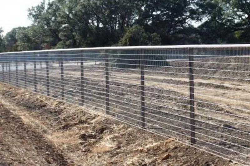 Chain Link Fencing installs galvanized and vinyl chain link fences for Georgetown, TX homeowners