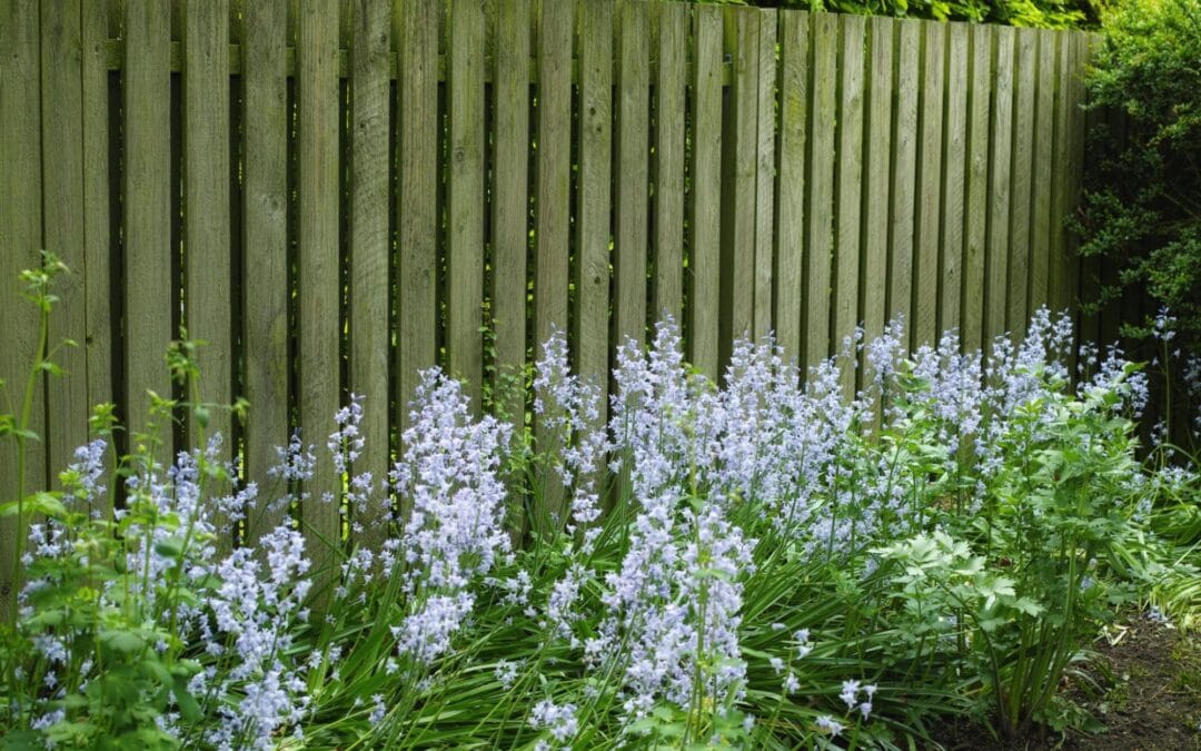 When a Fence Company in Georgetown May Recommend Mixing Different Fence Materials