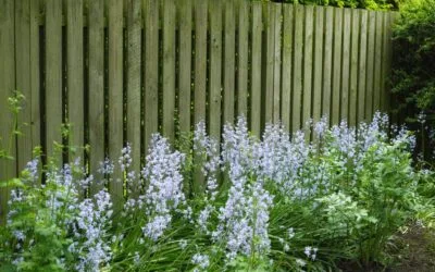 When a Fence Company in Georgetown May Recommend Mixing Different Fence Materials