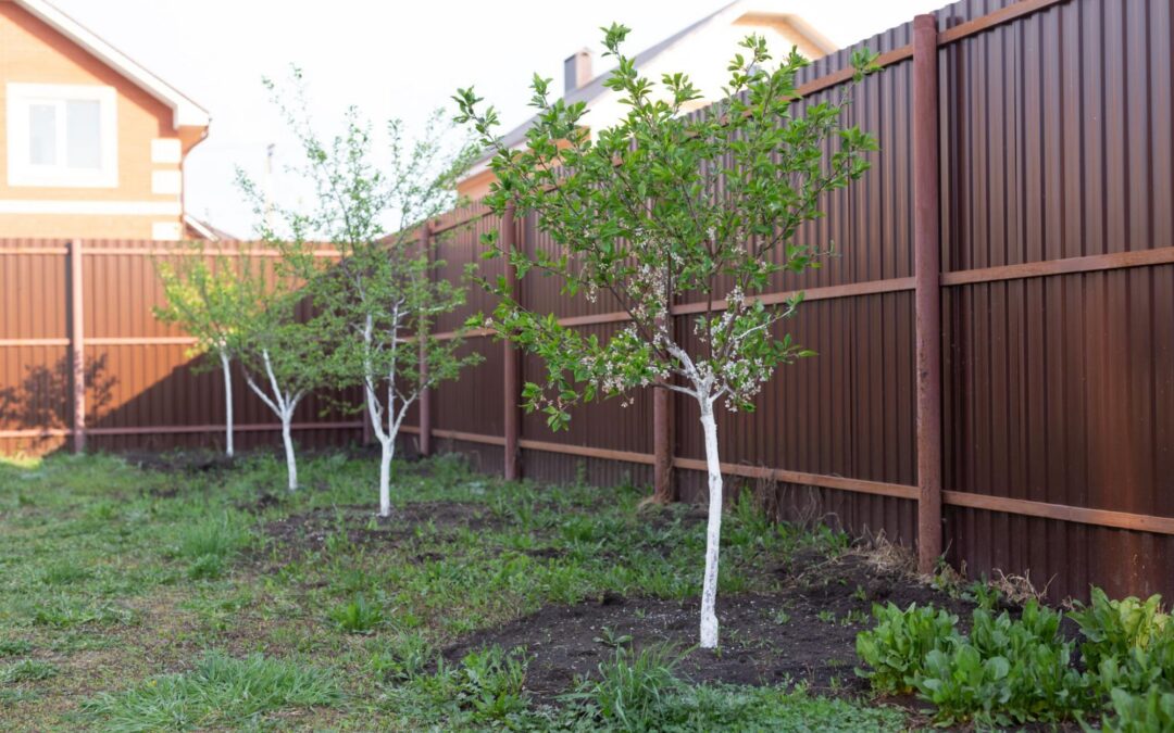 How a Fence Company in Georgetown Handles Fencing Around Trees Without Creating Future Problems