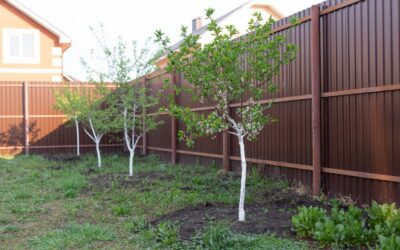 How a Fence Company in Georgetown Handles Fencing Around Trees Without Creating Future Problems