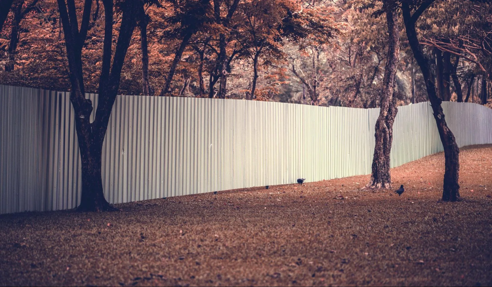 Classic white picket fence installed for a residential property in Georgetown, TX by Hicks Fencing